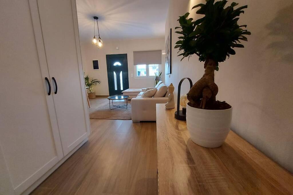 Kentia Fine Living Apartment Kanáli Kültér fotó
